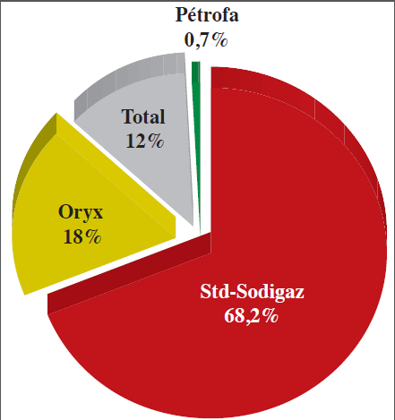  Parmi les marketeurs du gaz, il y a d’une part la Std-Sodigaz, qui occupe 68,2% du marché et d’autre part les sociétés membres du Gpp, parmi lesquelles Oryx (18%), de Total (12%), Pétrofa (0,7%), etc.